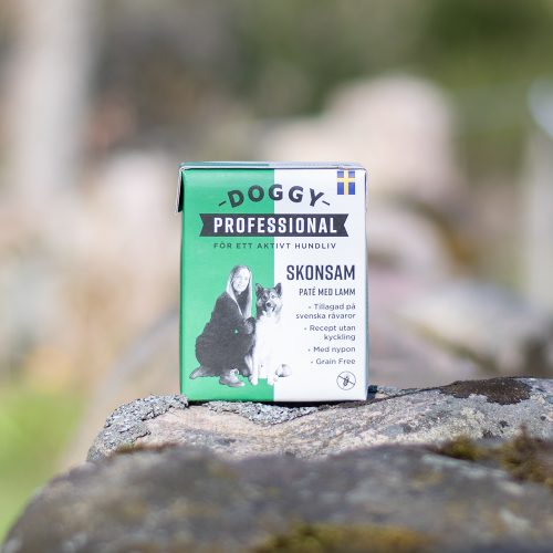 Doggy Skonsam
