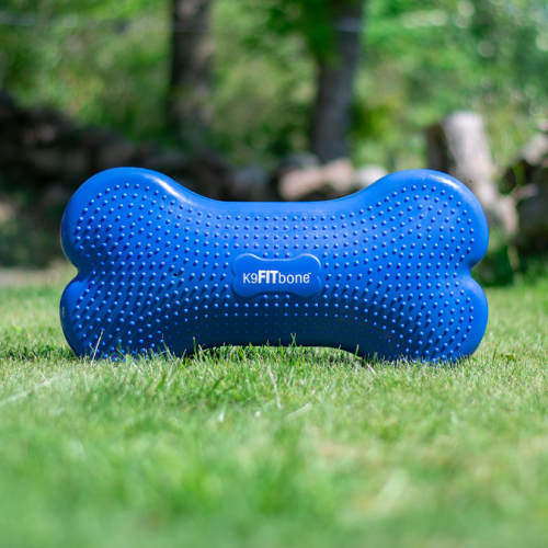 K9 Fitbone medium