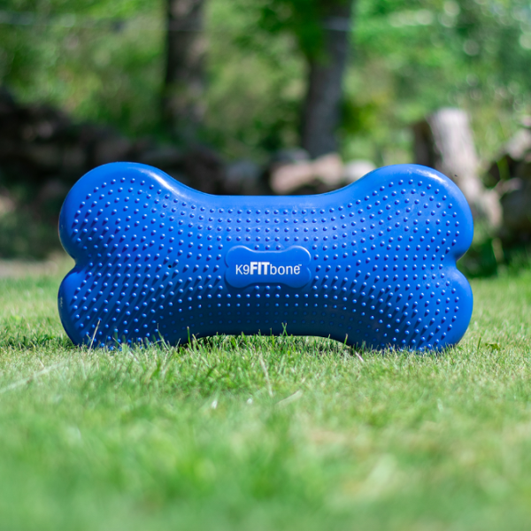 K9 Fitbone medium