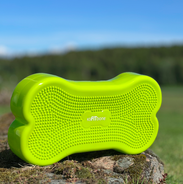 K9 Fitbone medium - Bild 2
