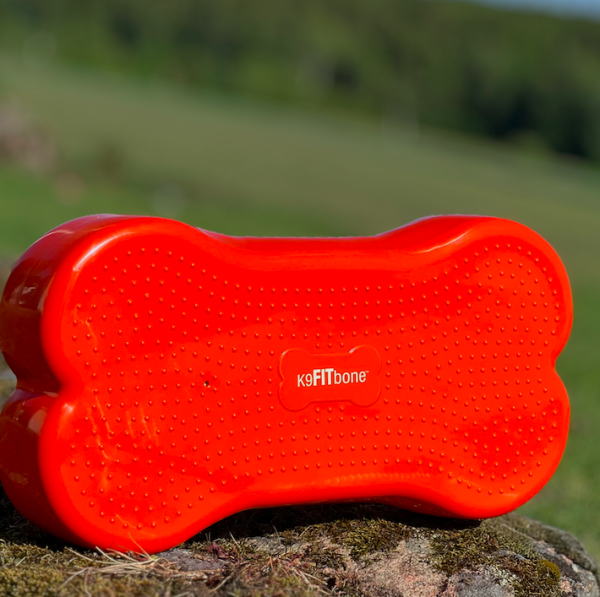 K9 Fitbone medium - Bild 4