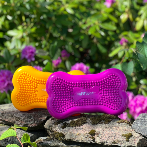 K9 fitbone mini
